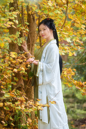 欧美一区二区三区四区在线