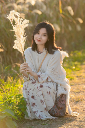 西游记日版女版免费观看