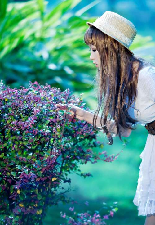 精油推背按摩6的视频