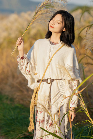 大军阀免费完整版国语在线观看