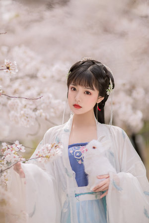 如懿传在线观看免费观看完整版