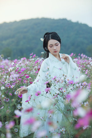 游客可登录的魅影