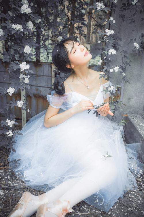 龙凤双宝短剧免费观看